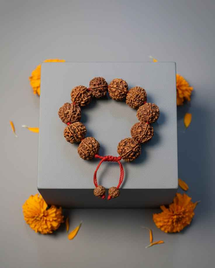 7 Mukhi Rudraksha Benefits Prosperity Wealth Mahalakshmi Blessings ManiMonk