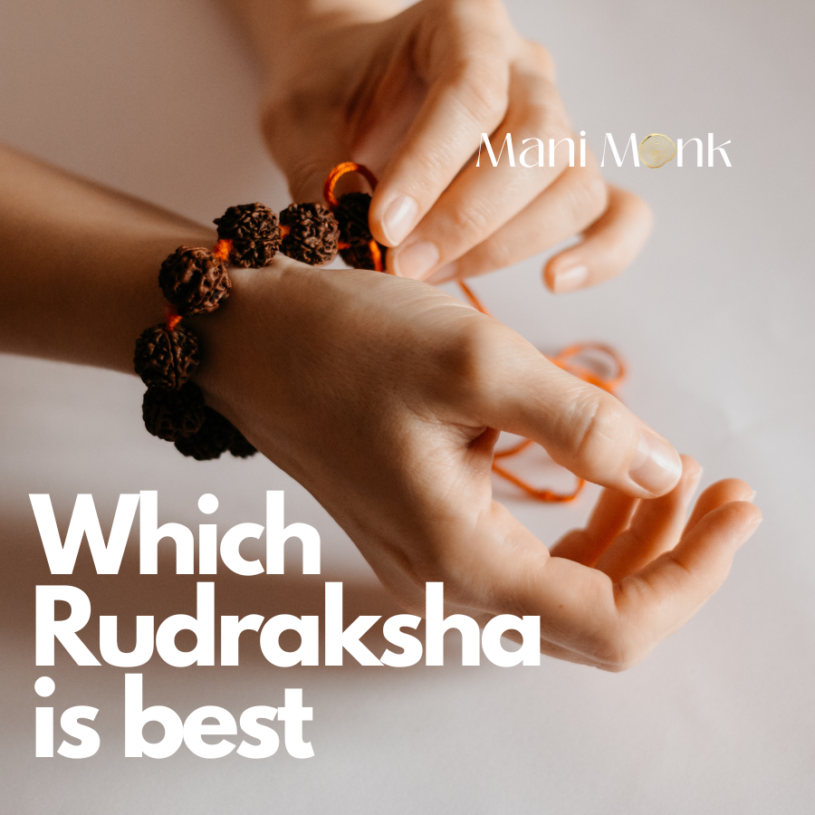 Which Rudraksha is Best for You Complete Guide to All Mukhis ManiMonk