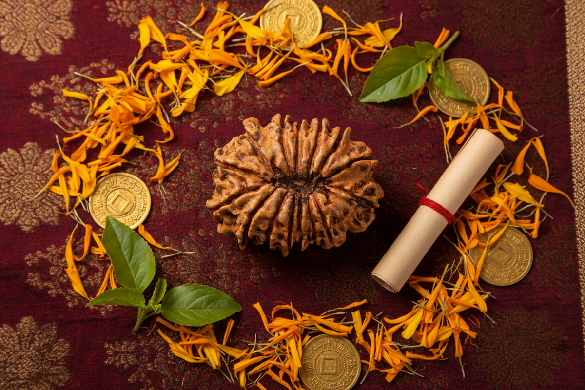 Best Rudraksha for Business Success and Career Growth