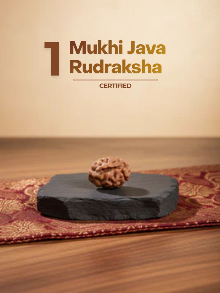 1 Mukhi Java - ManiMonk