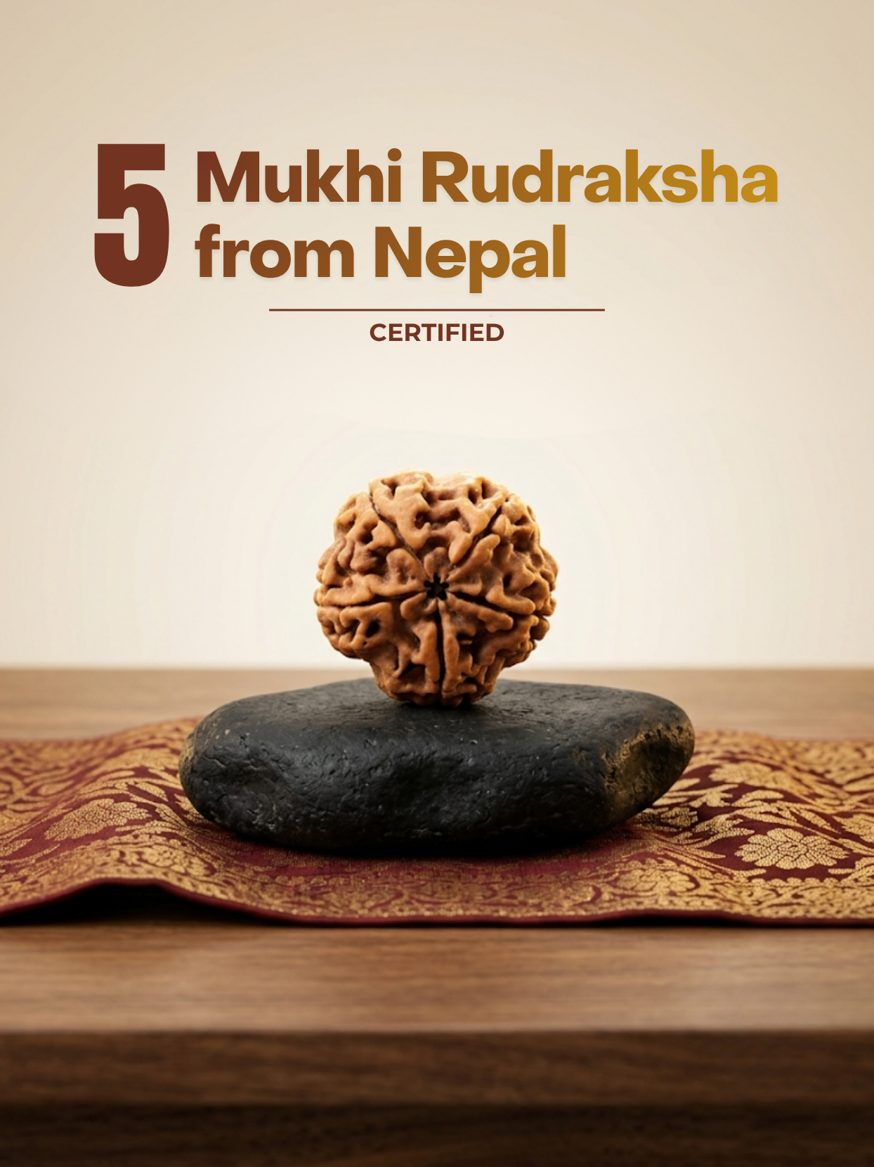 5 Mukhi (Face) Nepali Rudraksha