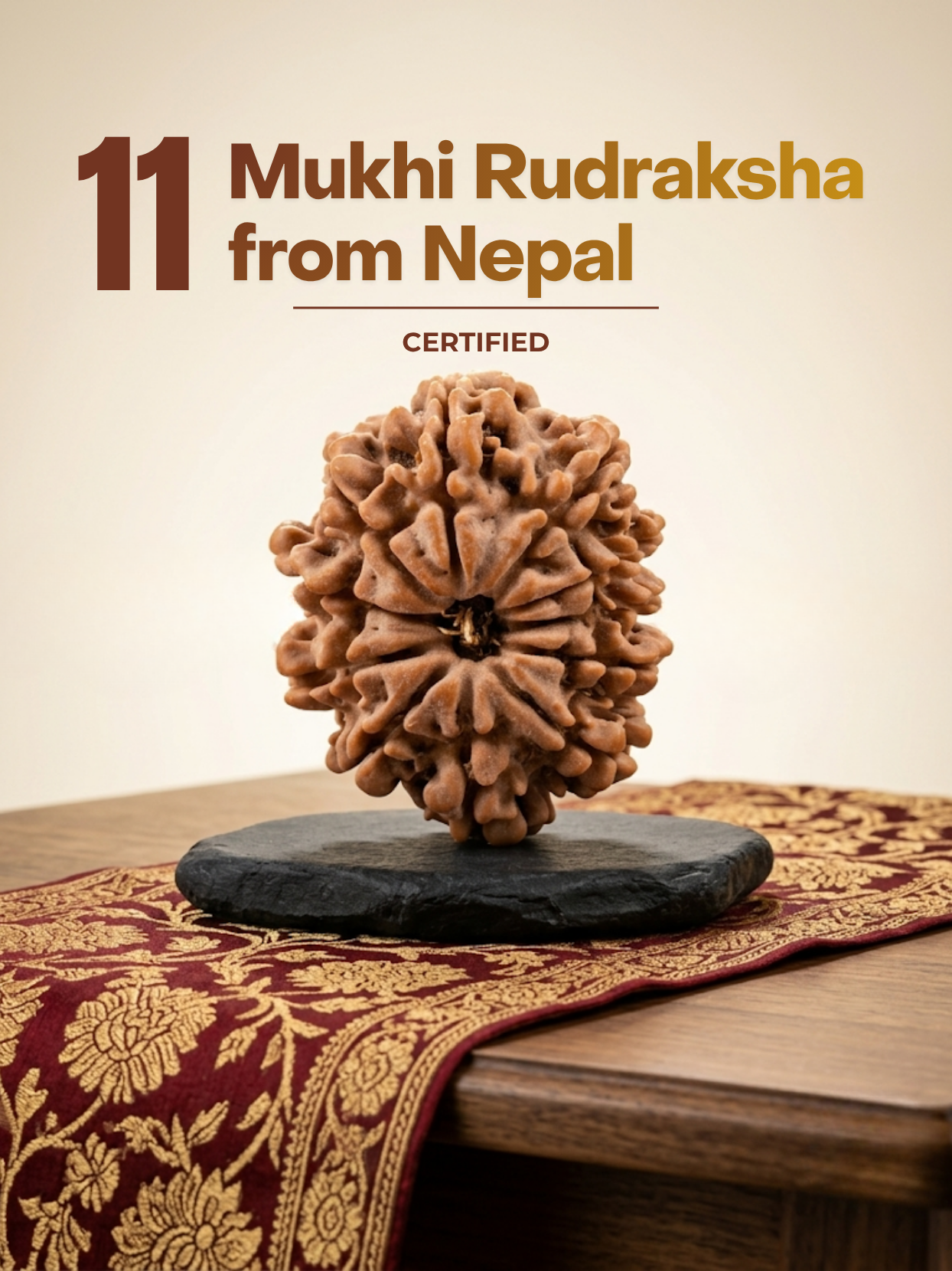 11 Mukhi Nepal Rudraksha
