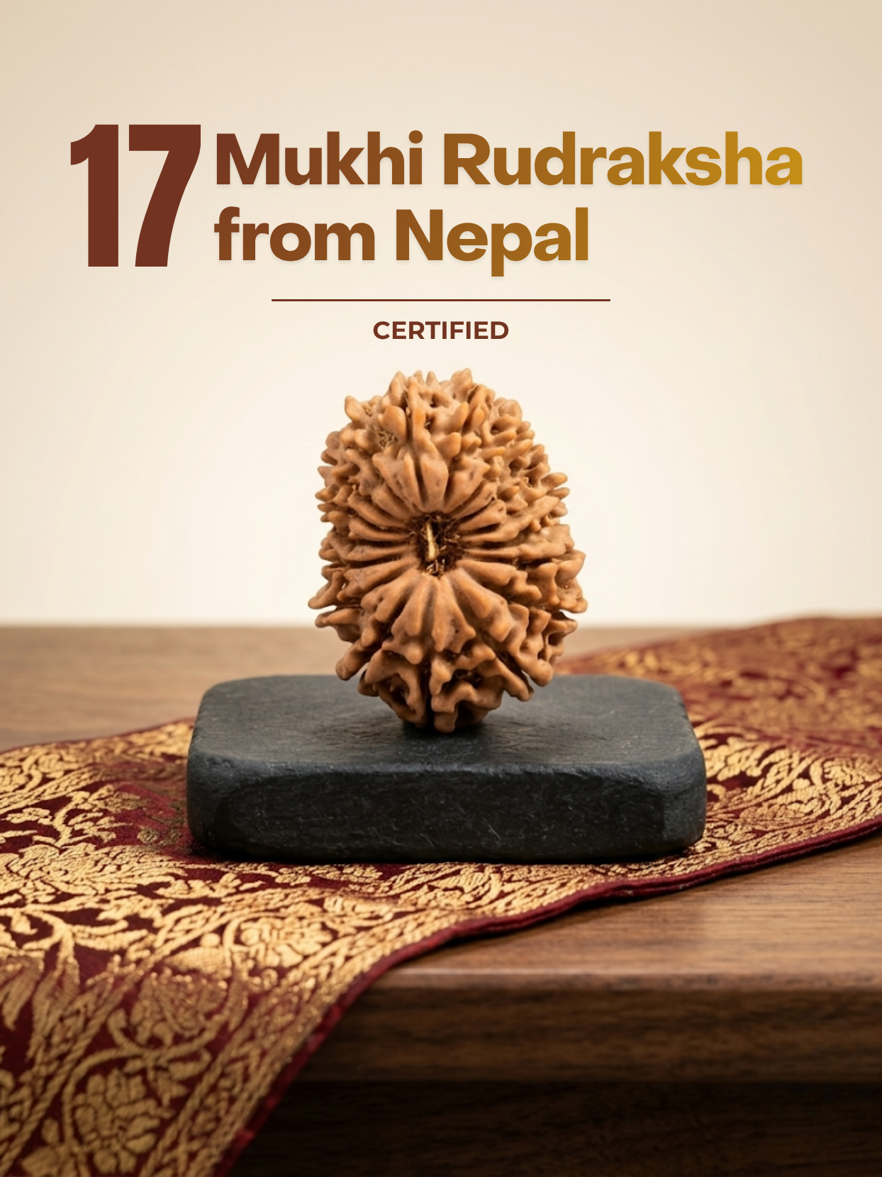 17 Mukhi Nepali