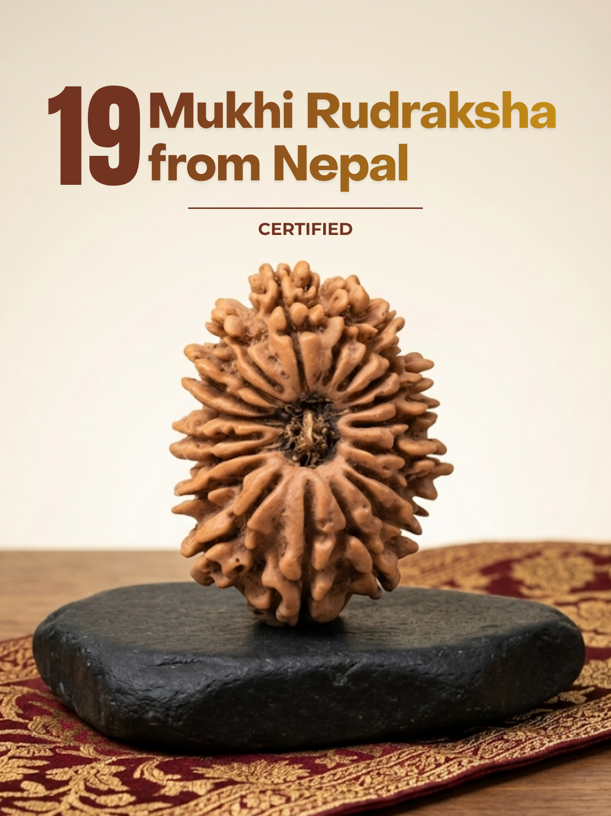 19 Mukhi Nepal