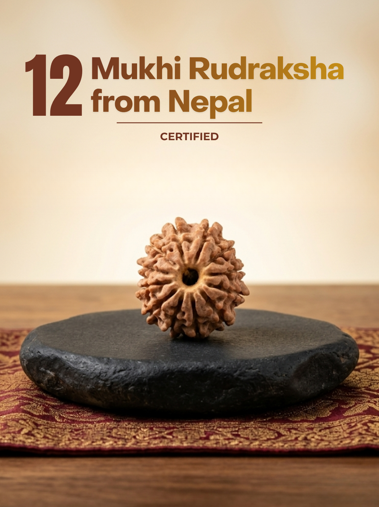 12 Mukhi Nepali Rudraksha