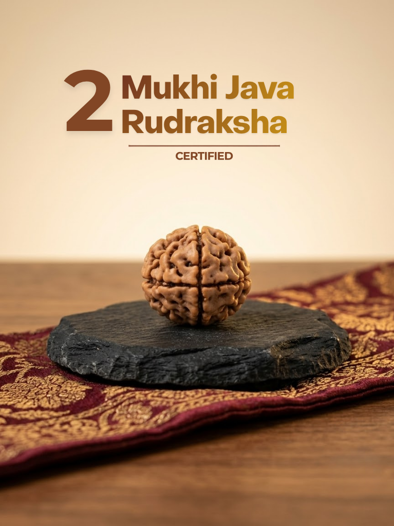 2 Mukhi Java (Indonesia) - ManiMonk