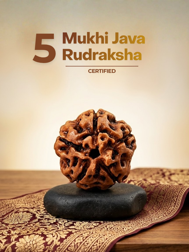 5 Mukhi Java Indonesia - ManiMonk