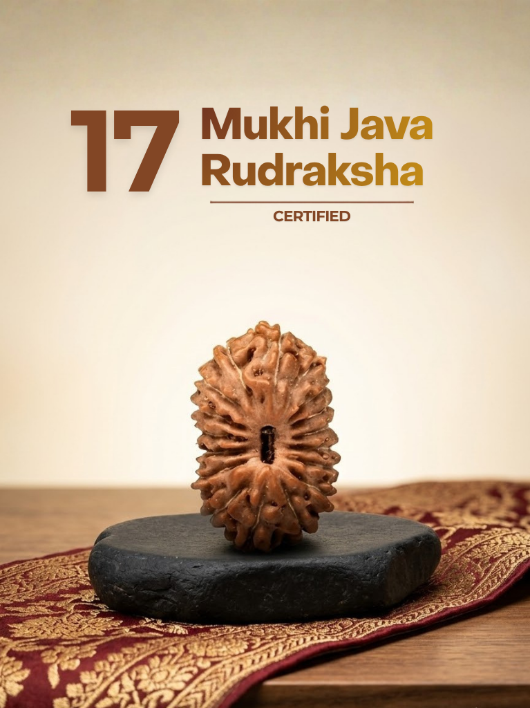 17 Mukhi Java - ManiMonk