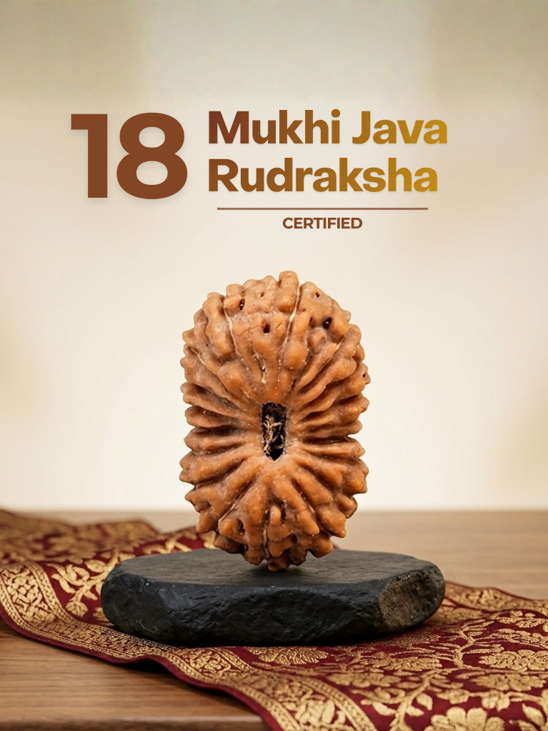 18 Mukhi Java - ManiMonk