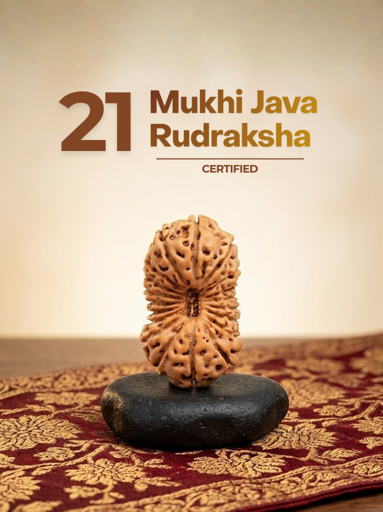 21 Mukhi Java - ManiMonk