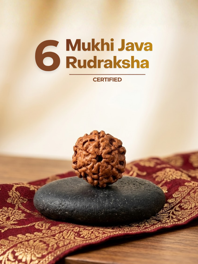 6 Mukhi Java Rudraksha - ManiMonk