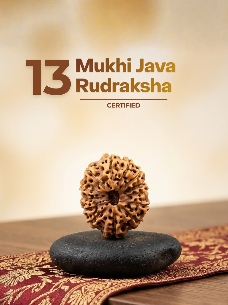 13 Mukhi Java Indonesia - ManiMonk