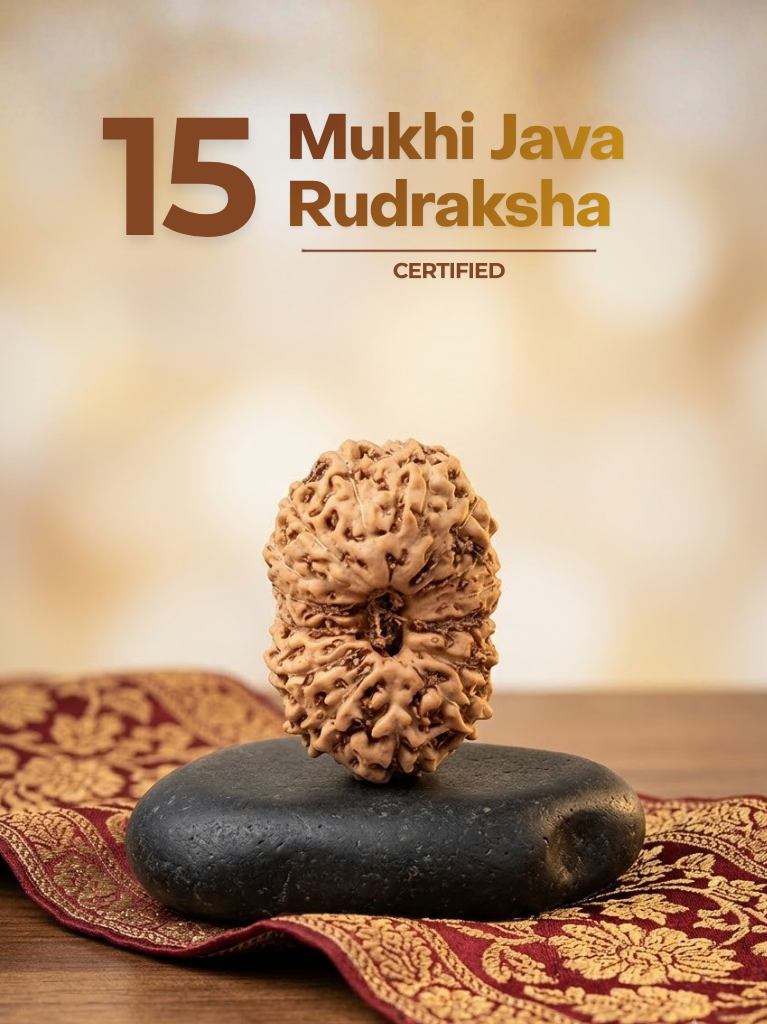 15 Mukhi Java Indonesia - ManiMonk