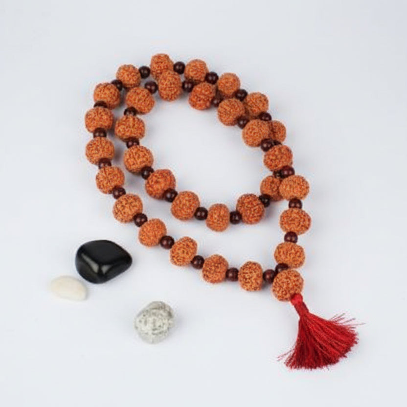 Collector 7 Mukhi with Red Sandalwood Mala