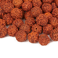 Rudraksha loose Beads pack 13 mm