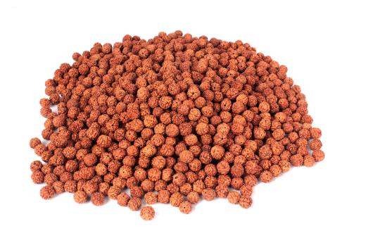 Rudraksha Loose Beads Pack (10 mm)-Regular
