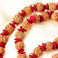4 Mukhi Brahma Kantha-Collector-Woolen Spacers