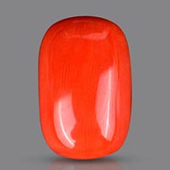 Red Italian Coral - 17.50 Carats