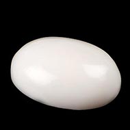 White Coral - 8.65 Carats