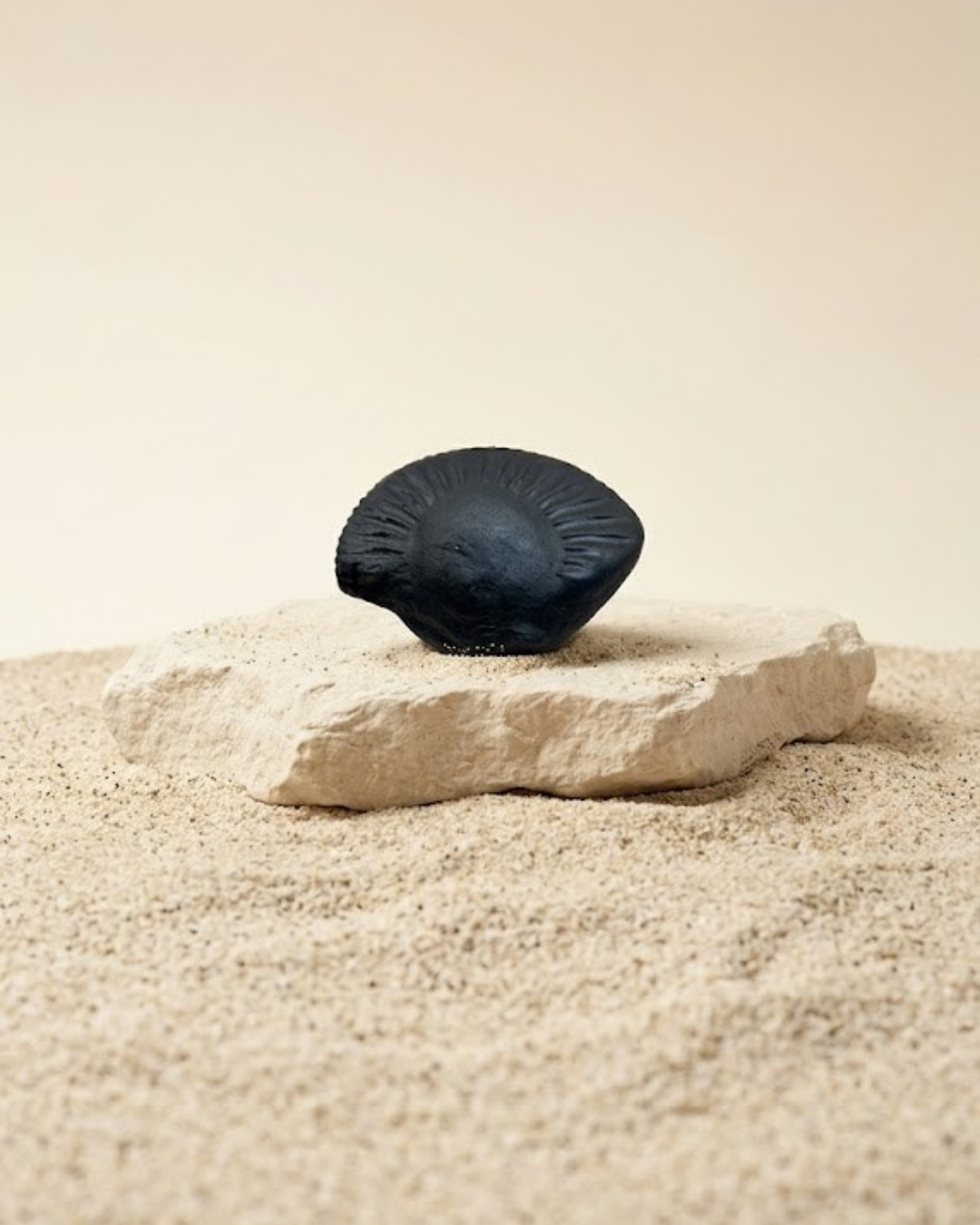 Shiva and Parivar Shaligram Shila - Original Sacred Stone - ManiMonk
