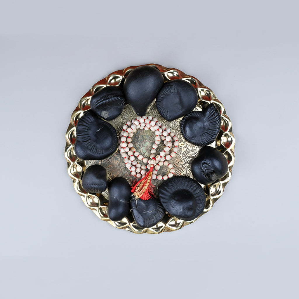 Dashavatar Shaligram Shila Set - 3.4 Kgs