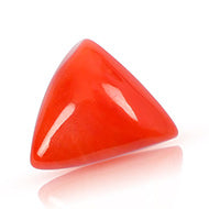 Italian Coral Triangular - 19.37 Carats