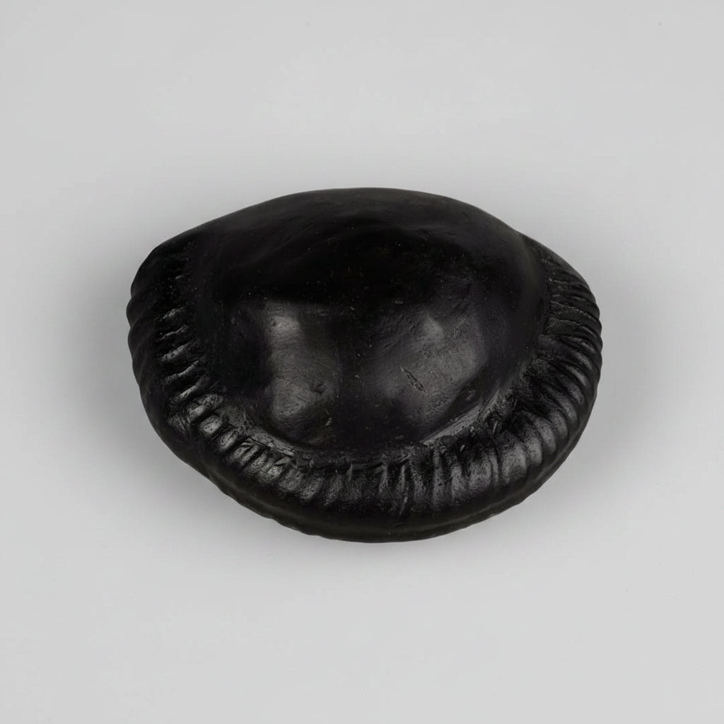 Shiva Parivar Shaligram Shila