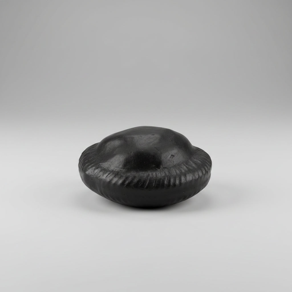 Shiva Parivar Shaligram Shila