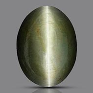 Cats Eye - Orissa - Bihar - 16.05 Carats