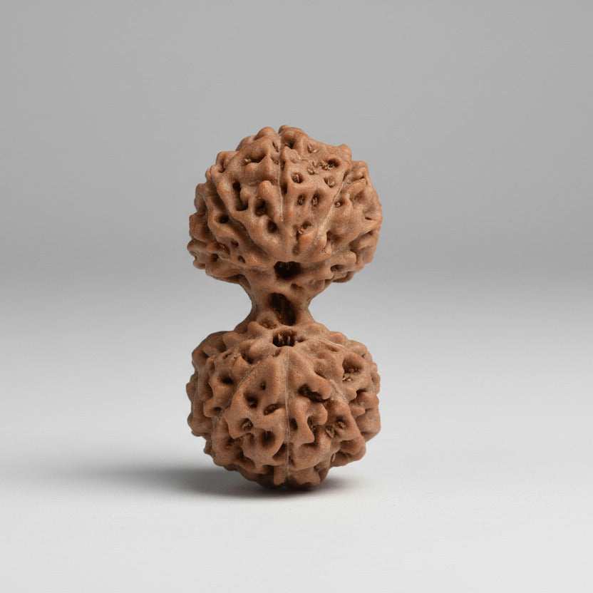 11 Mukhi Gaurishankar Java Indonesia