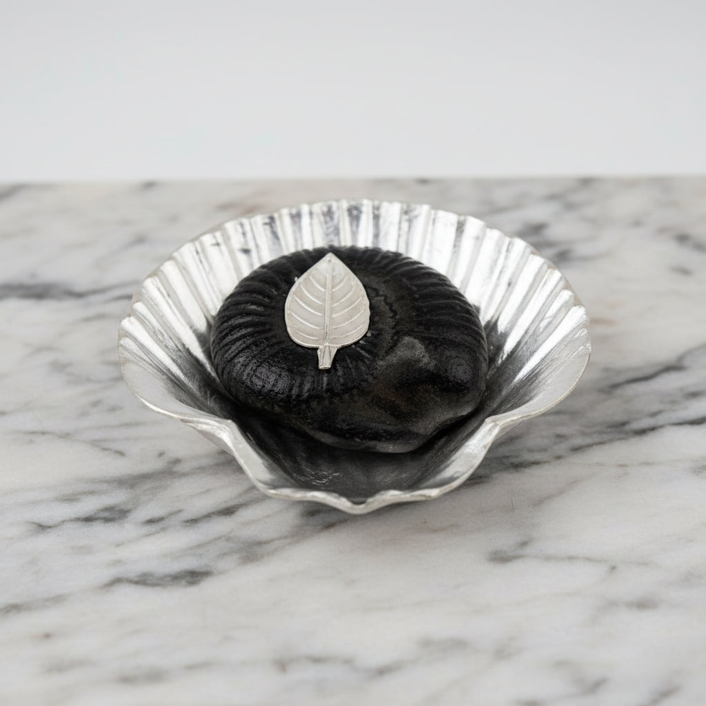 Laxmi Narayana Shaligram