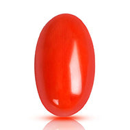 Red Italian Coral - 10 Carats - I