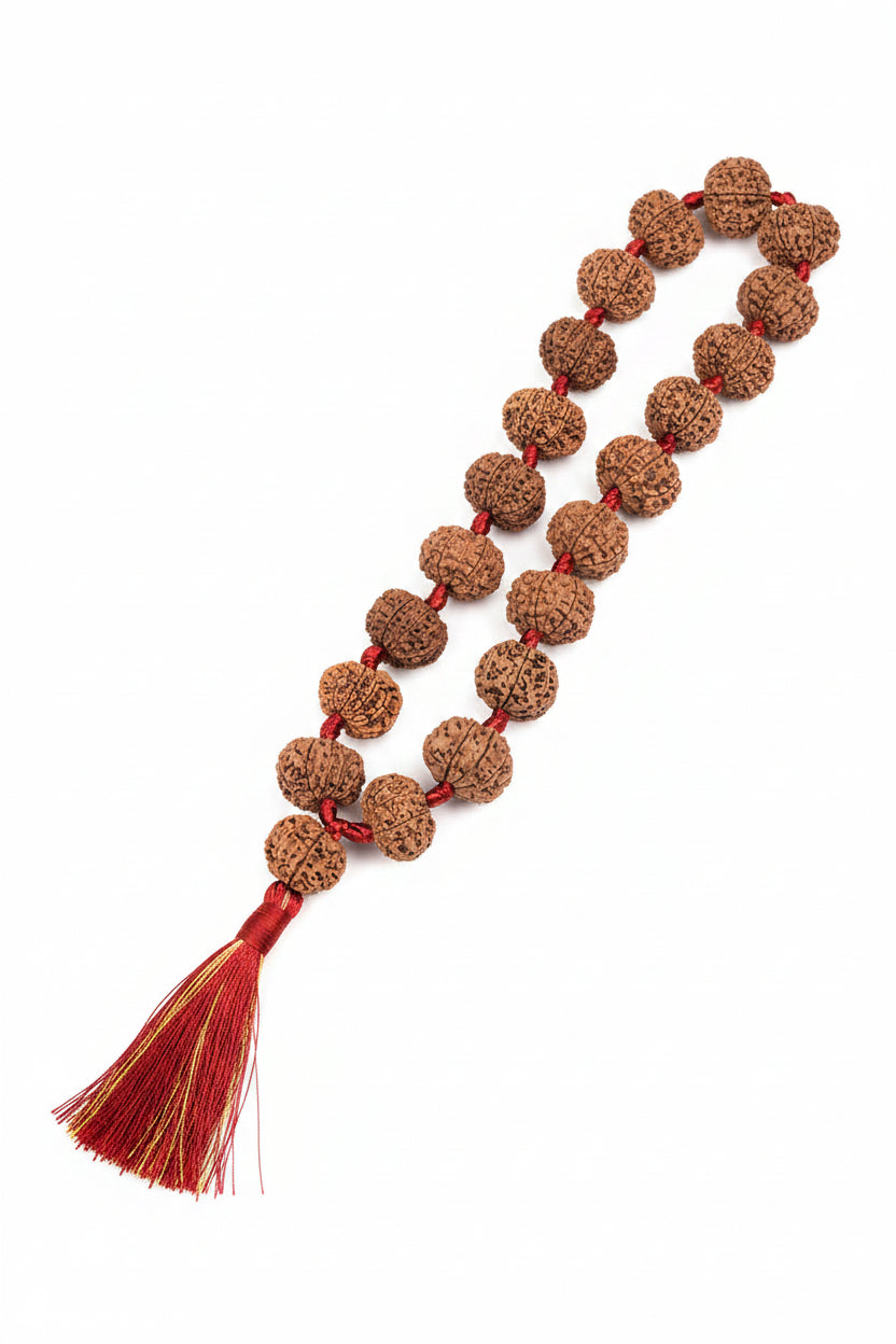 12 Mukhi Nepali Rudraksha Kantha Mala