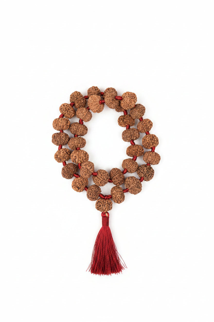 12 Mukhi Nepali Rudraksha Kantha Mala | Sun & Surya
