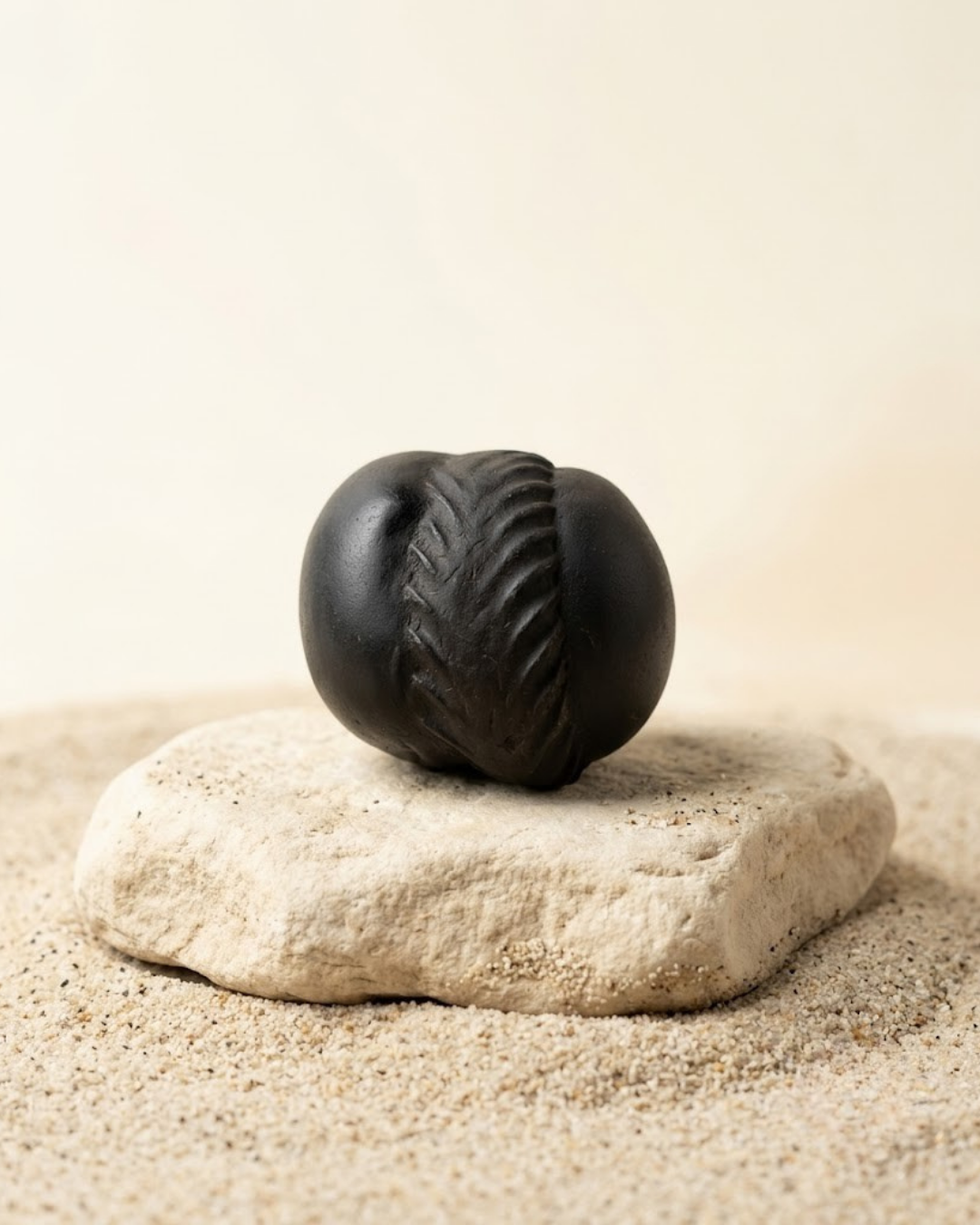 Kurma Vishnu Shaligram Shila - Original Sacred Stone - ManiMonk