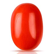 Red Japanese Coral - 17.35 Carats