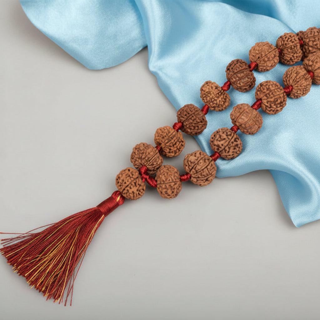 13 Mukhi Nepali Rudraksha Kantha Mala
