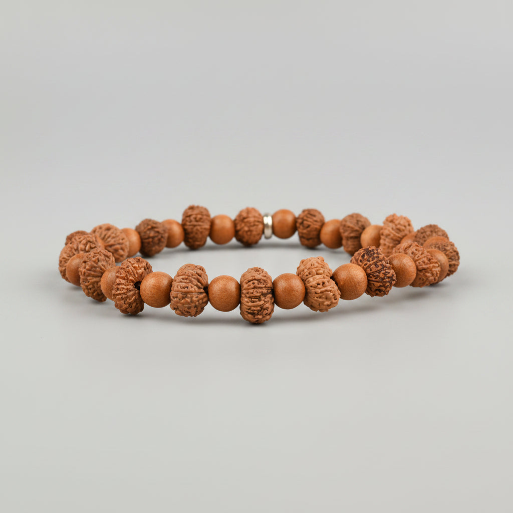 13 Mukhi Rudraksha and White Sandalwood Bracelet