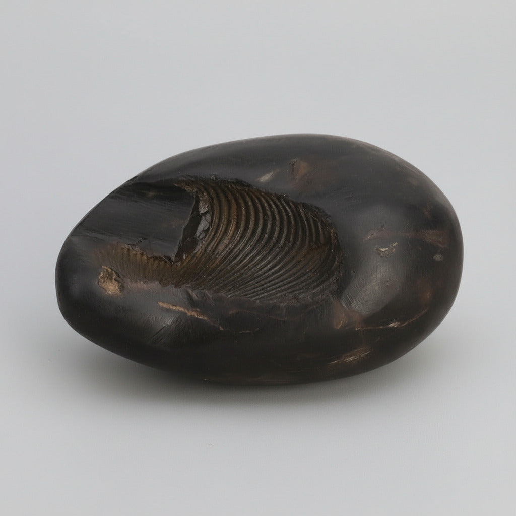 Damodar Kund Shaligram Shila