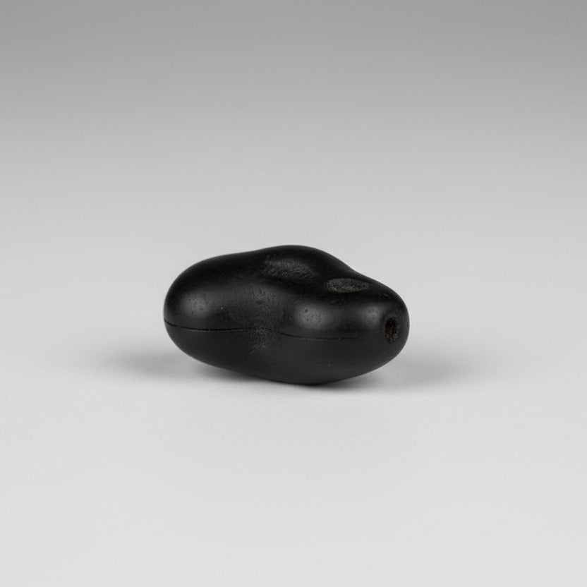 Santan Gopal Sudarshan Shaligram Shila