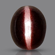 Black Cats Eye - 7.43 Carats
