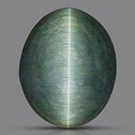 Cats Eye - Orissa - Bihar - 13.55 Carats