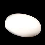 White Coral - 8.85 Carats