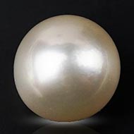 South Sea Pearl - 20.05 Carats