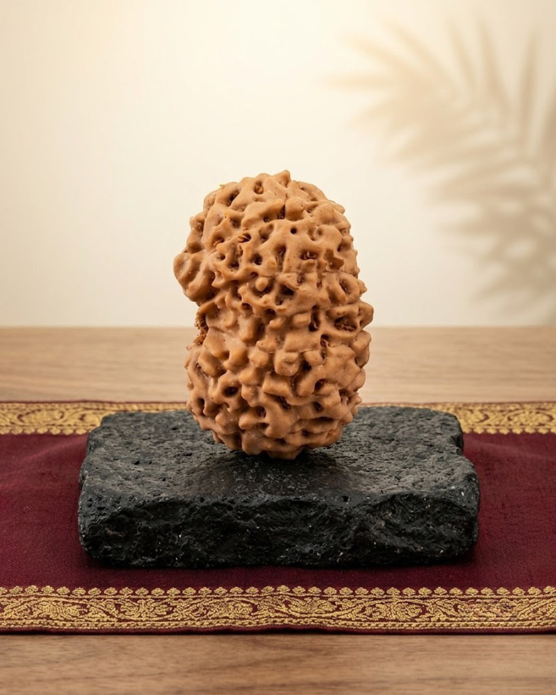 Mani monk 14 Mukhi Rudraksha Java Indonesian 20mm Large Certified