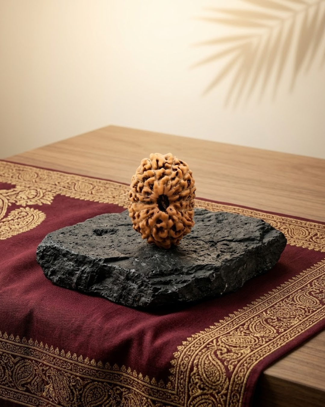 14 Mukhi Rudraksha Java Indonesian 21mm Collector Grade | Certified - ManiMonk