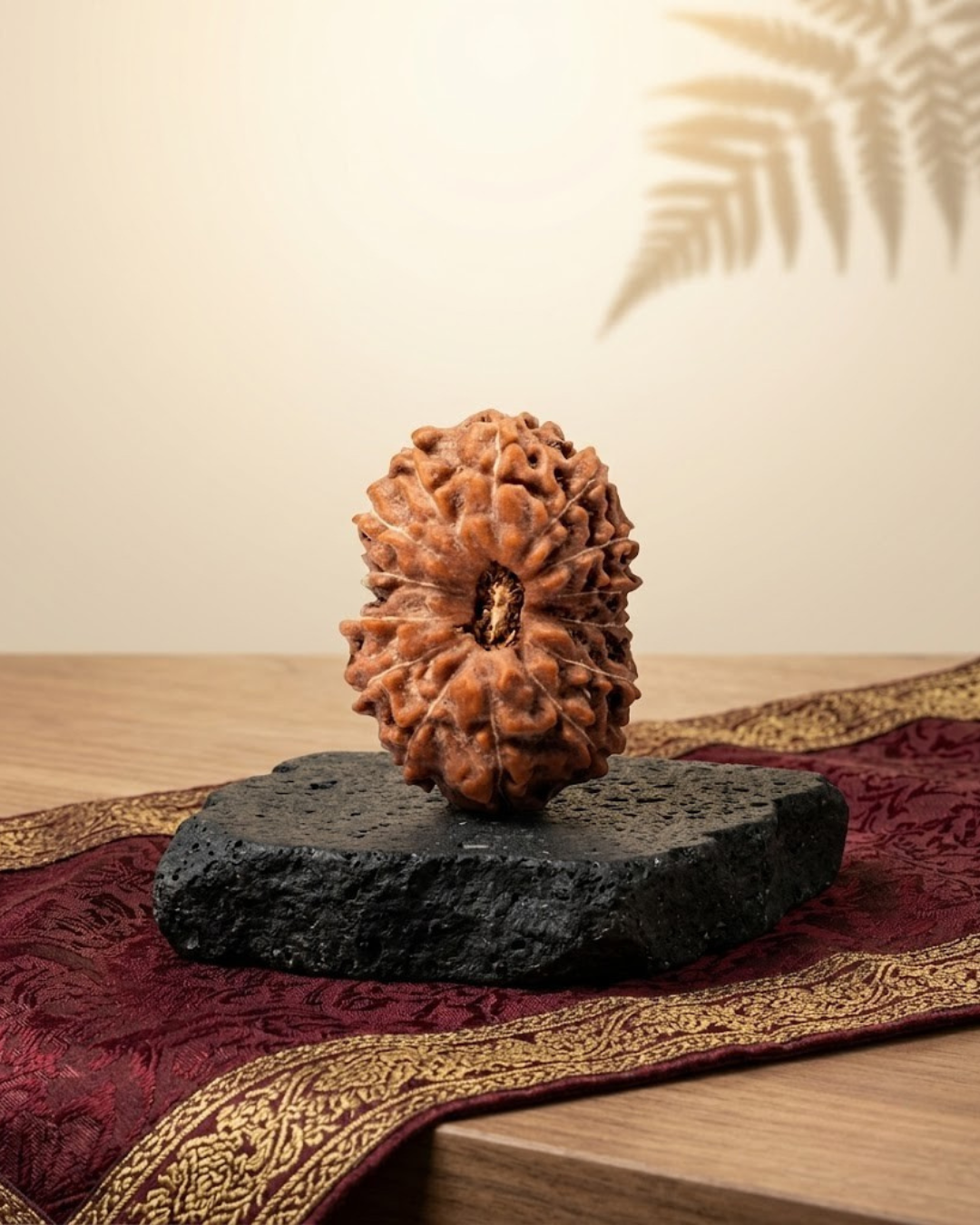 14 Mukhi Rudraksha Java Indonesian 21mm Collector Grade Certified