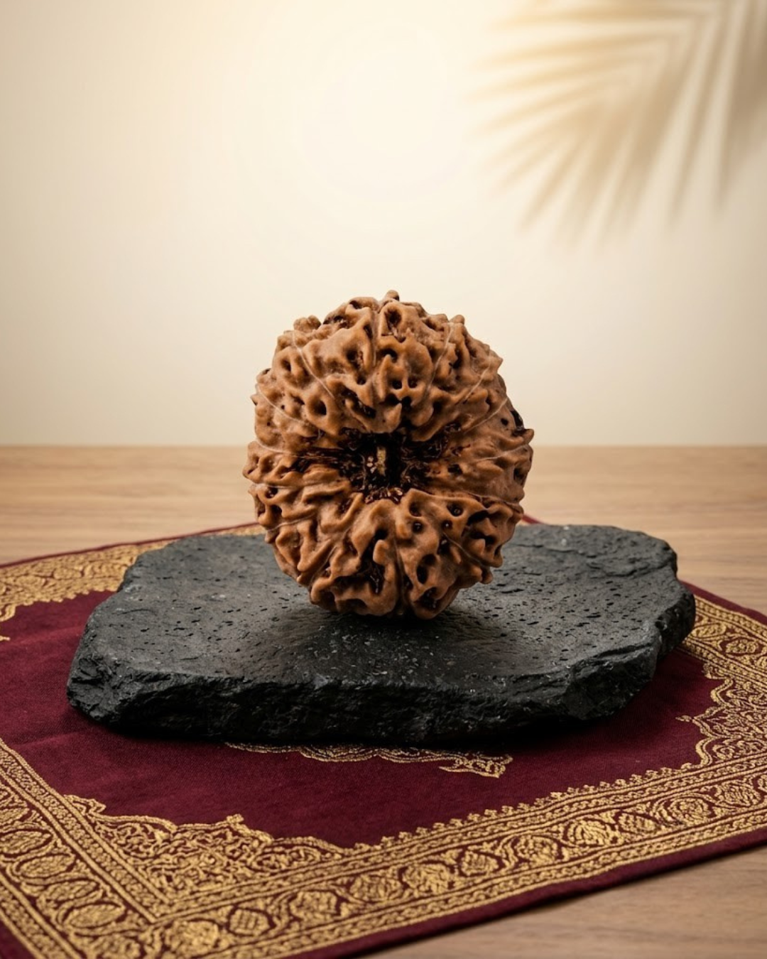 14 Mukhi Rudraksha Java Indonesian 23mm Super Collector Certified - ManiMonk