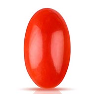 Red Japanese Coral - 2.95 Carats