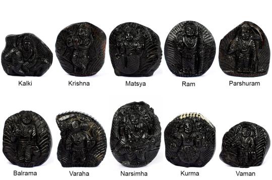 Dashavatar Shaligram Murti Set I